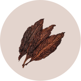 Tobacco