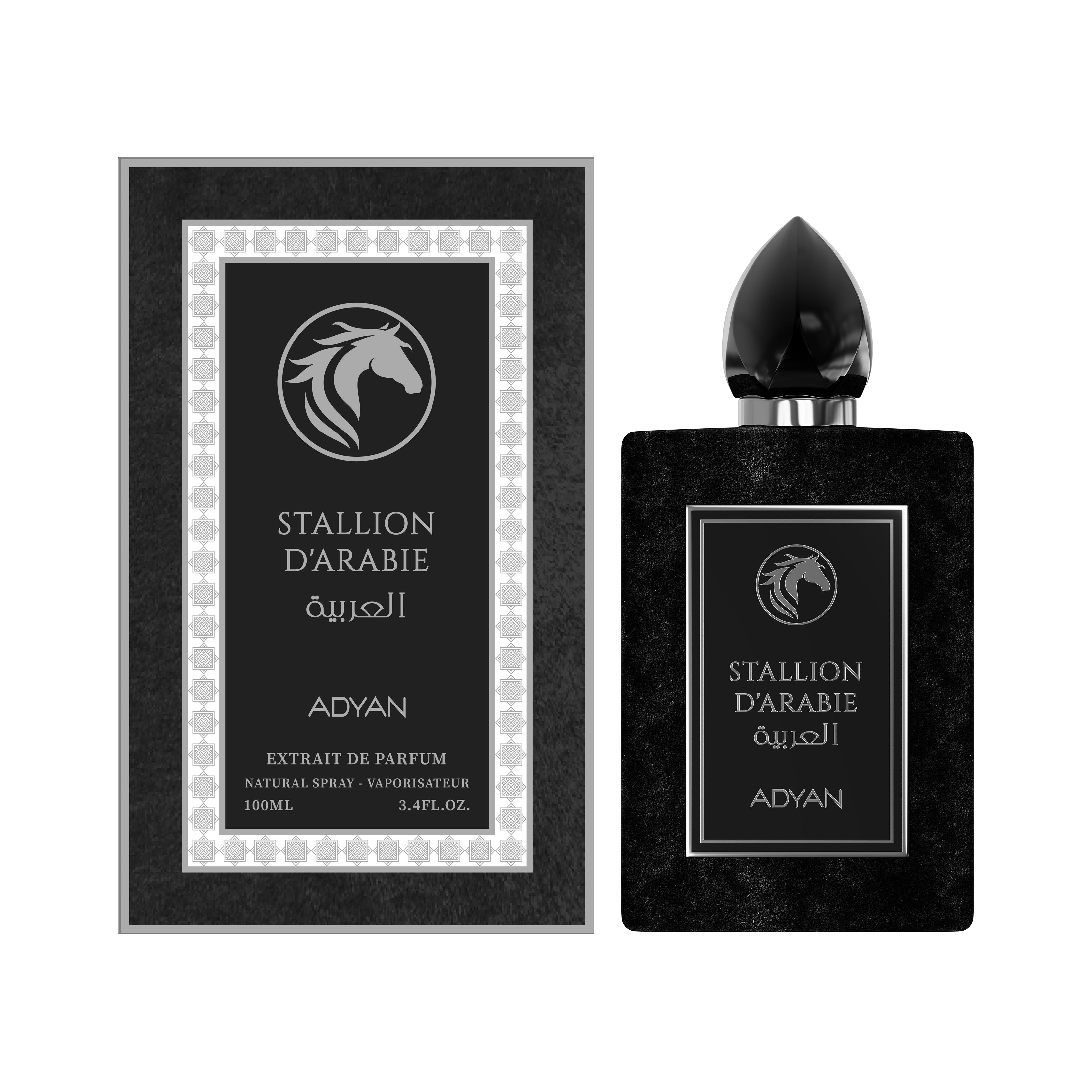 STALLION D’ARABIE BY ADYAN