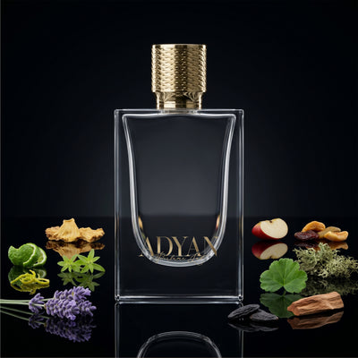 Impression of Mont Blanc - Legend