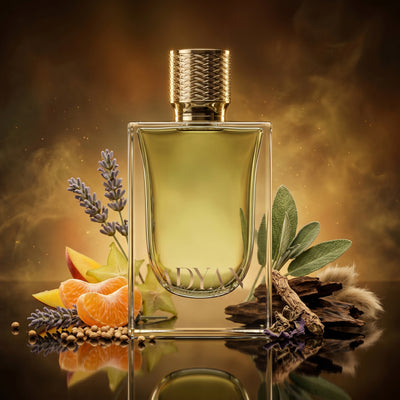 Impression of Ard Al Zaafaran - Maqaal oud