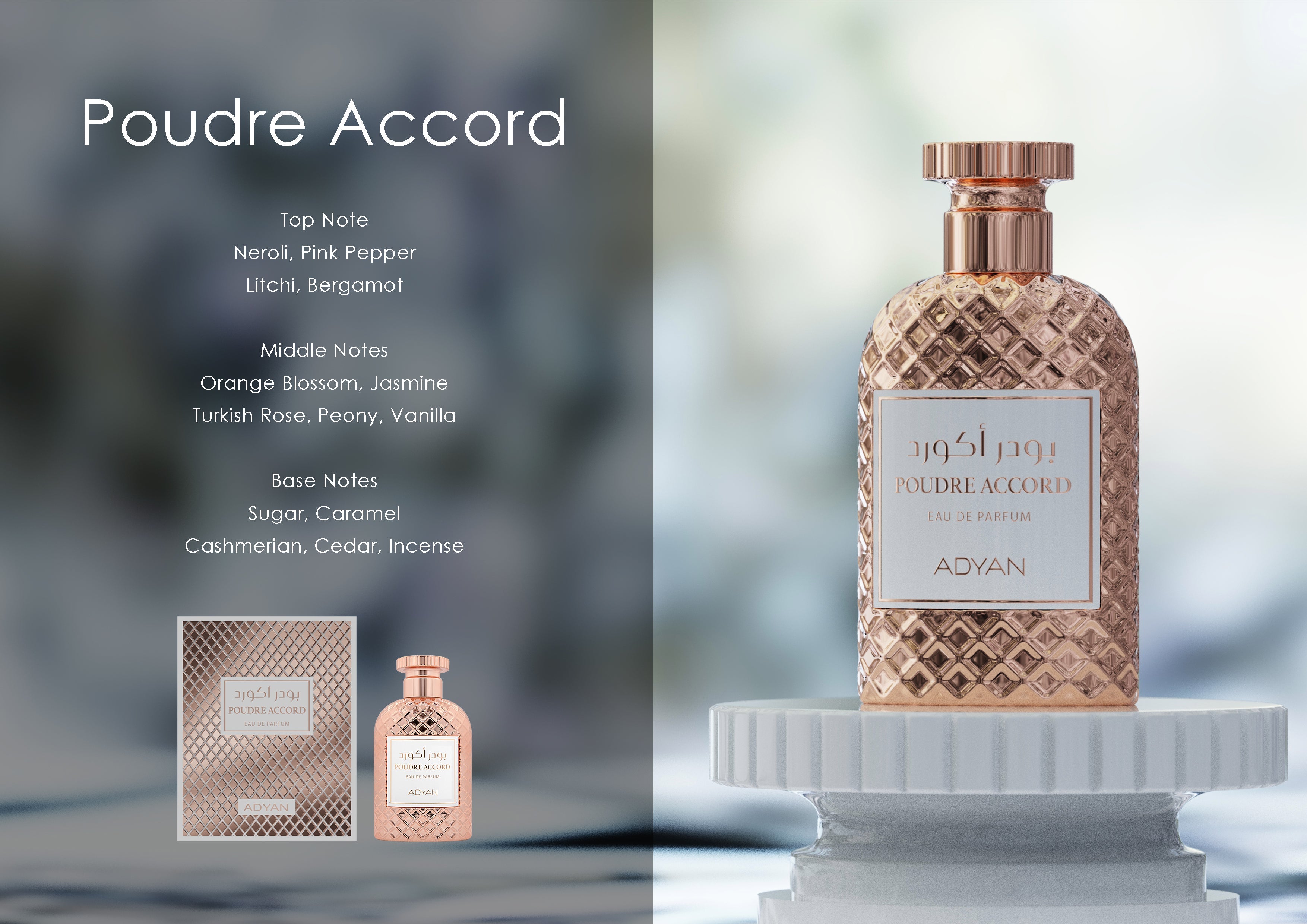 Poudre Accord By Adyan