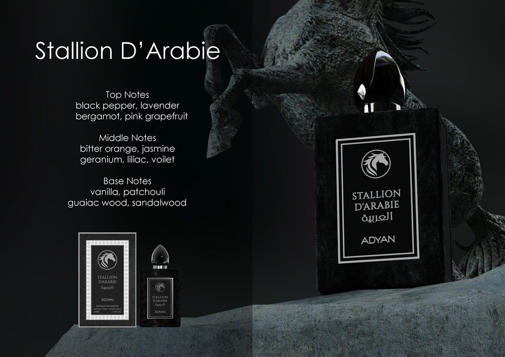 STALLION D’ARABIE BY ADYAN