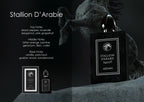 STALLION D’ARABIE BY ADYAN
