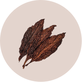 Tobacco
