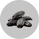 Tonka Beans