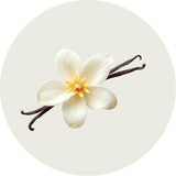 Vanilla